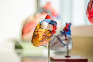 Heart Palpitations During Infection – Causes, Mechanisms, and Clinical Significance